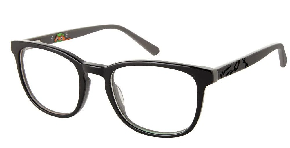 TMNT NIC-SHREDDER Eyeglasses